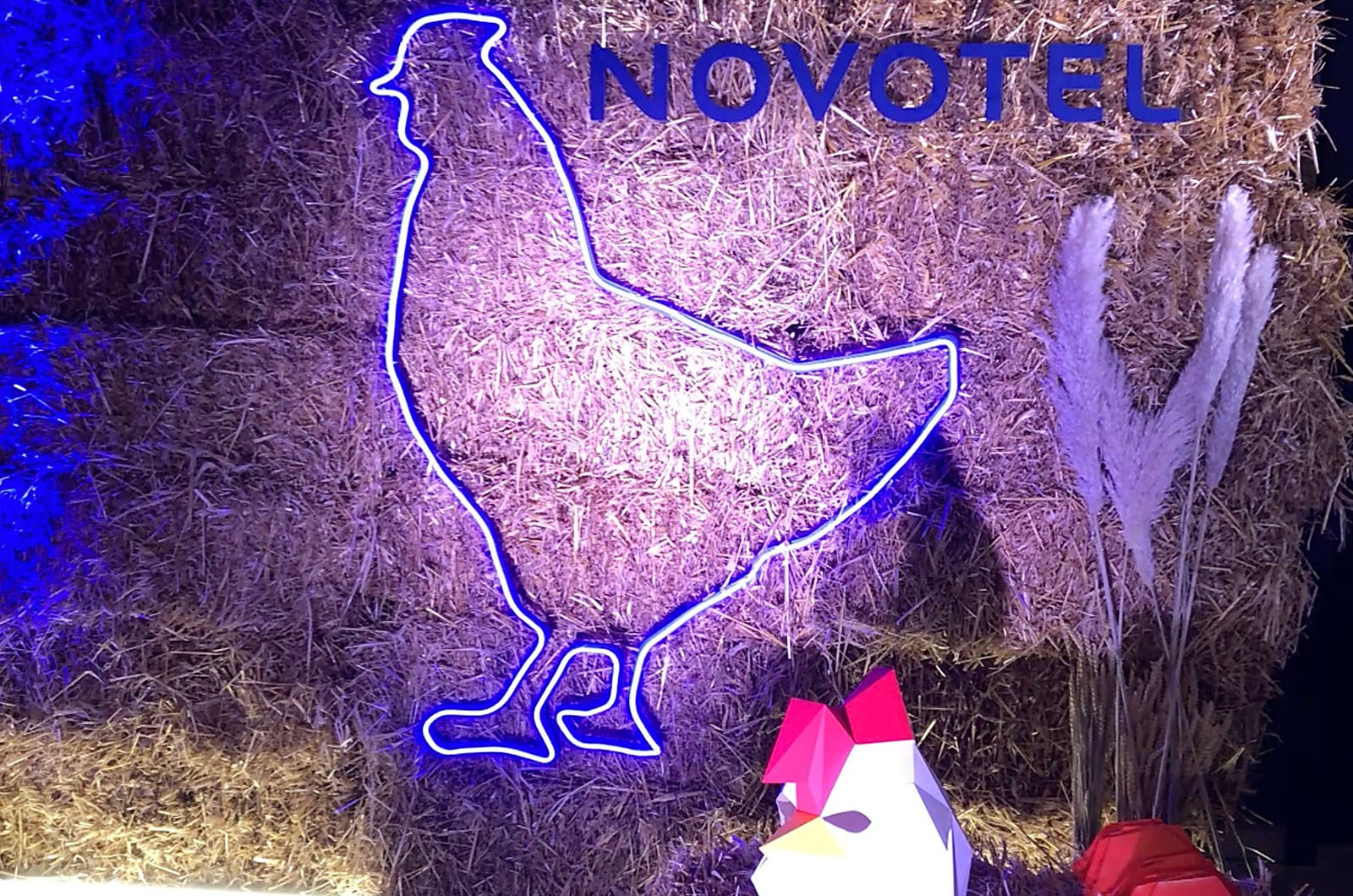 NOVOTEL POULES HOME PAGE CAS 1600x1060px