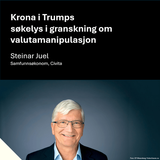 Steinar juel kvadrat