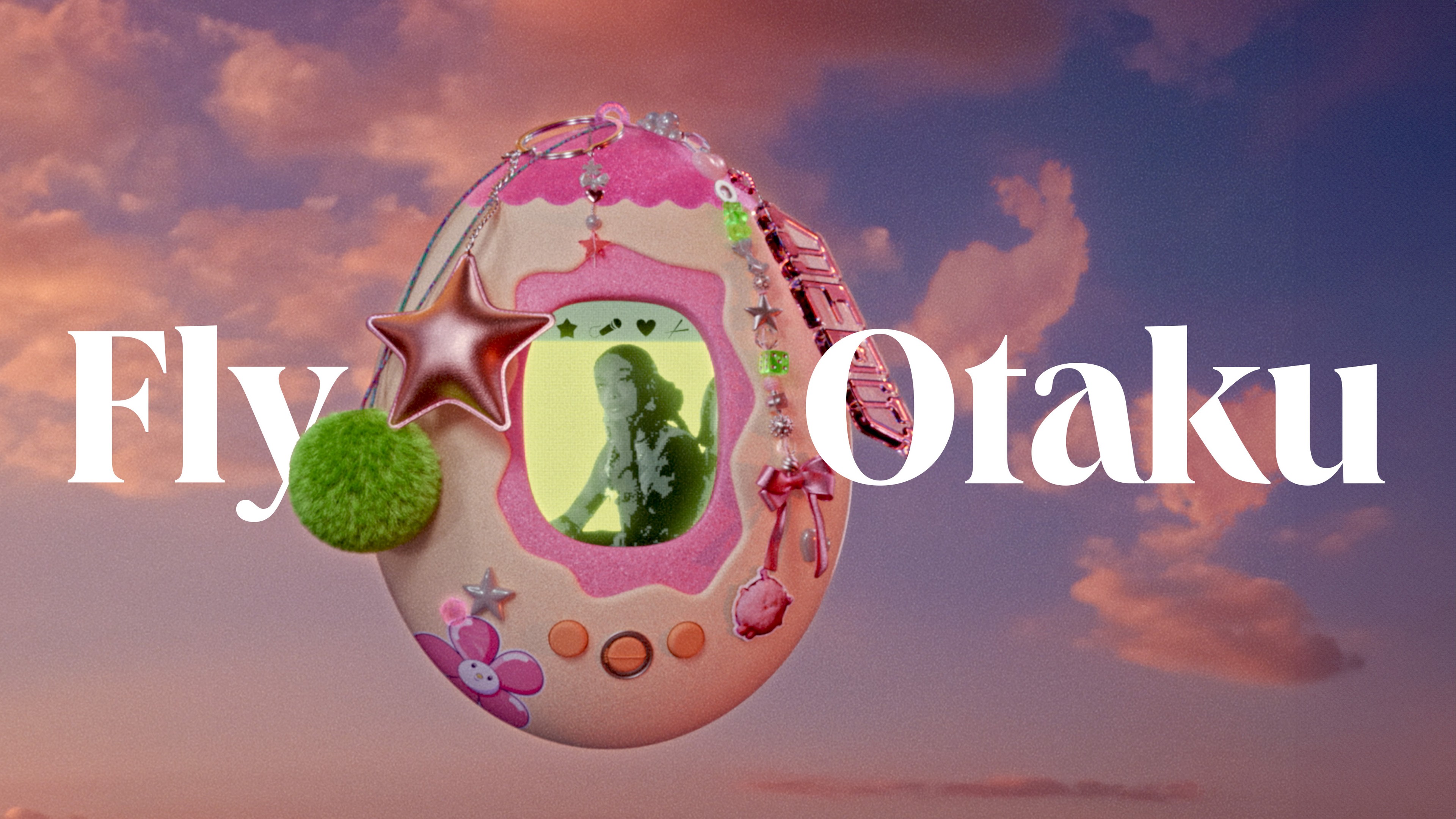 Fly otaku case image type Fly otaku case image type